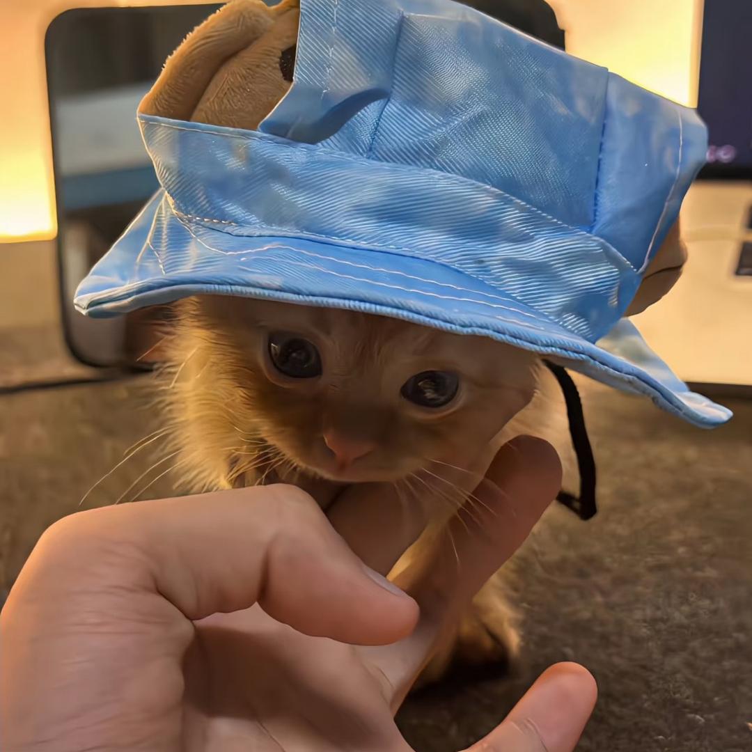 ︀