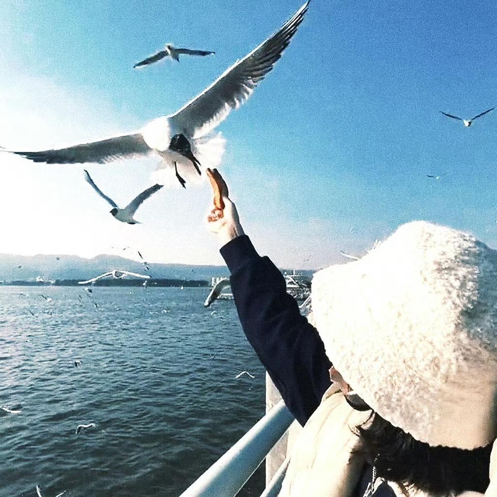 哒哒小吃货