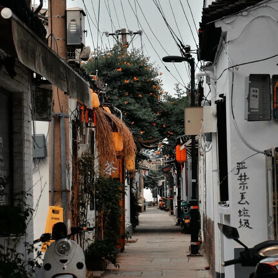 苏苏苏苏苏