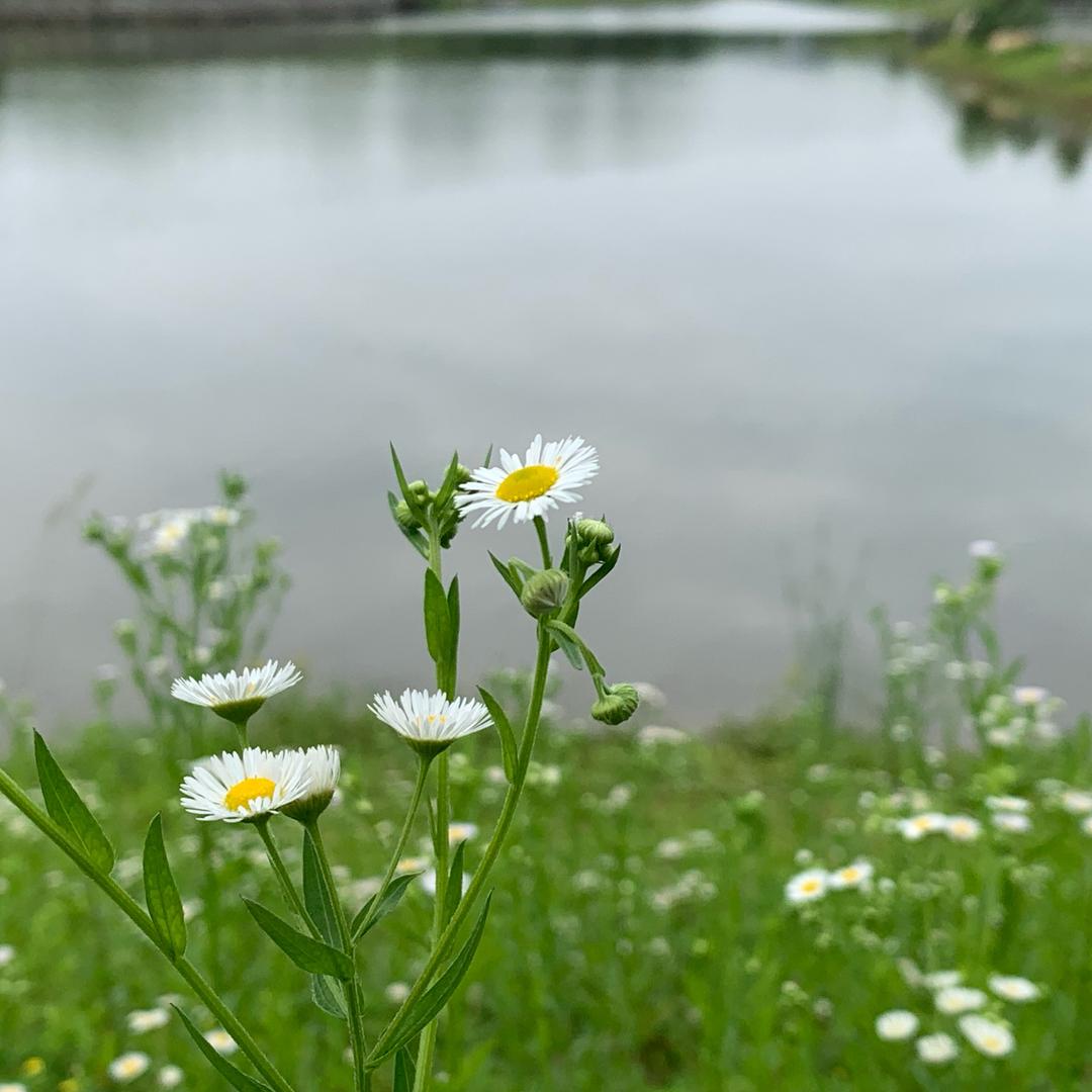 生活就是一种习惯