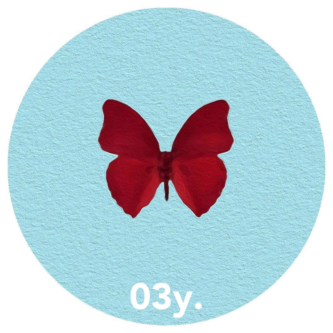 03y