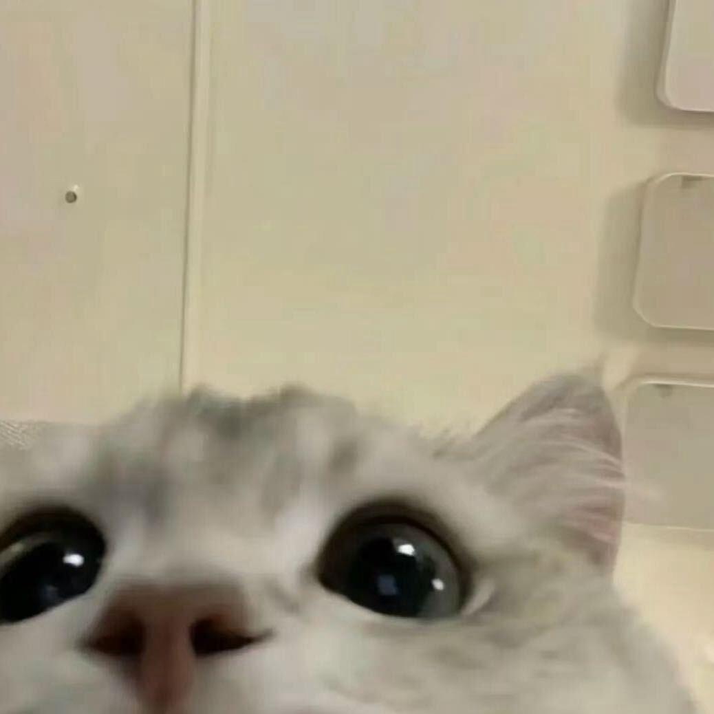安逸.