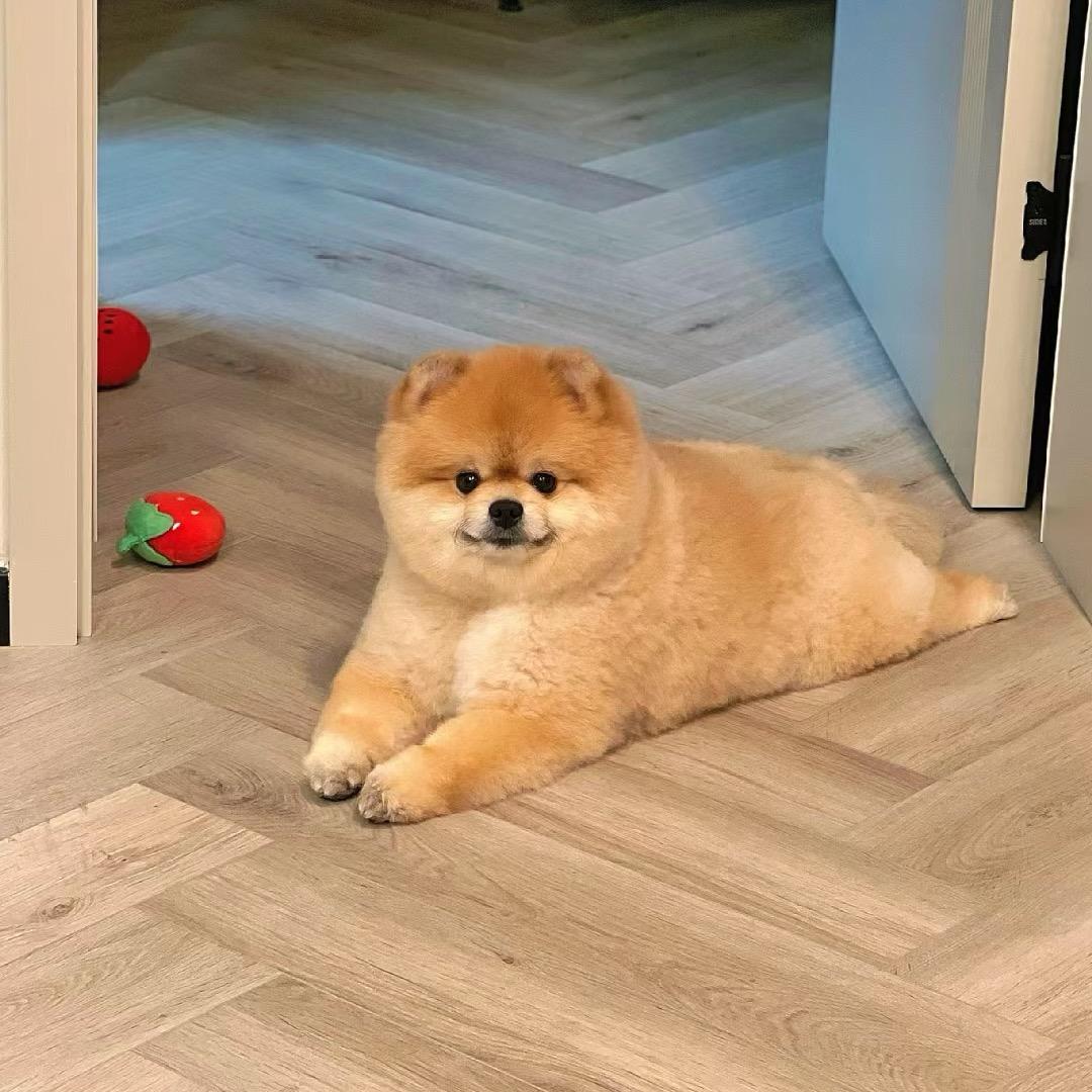 带你回我们家🏠