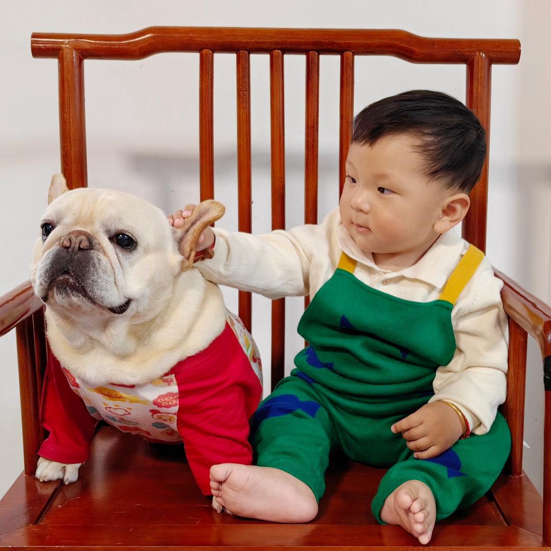 🐾  六六是只法斗🐶💕
