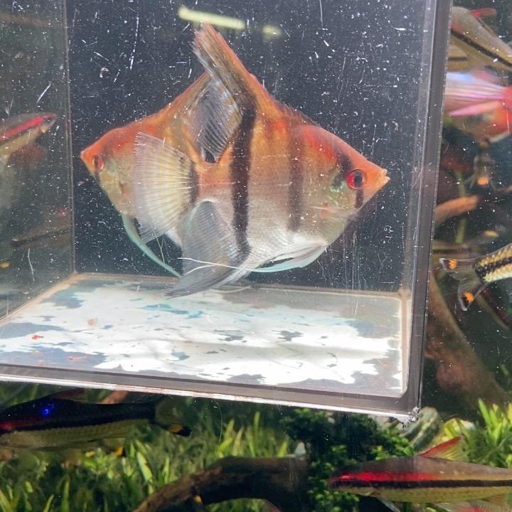 鱼缘坊水产品店