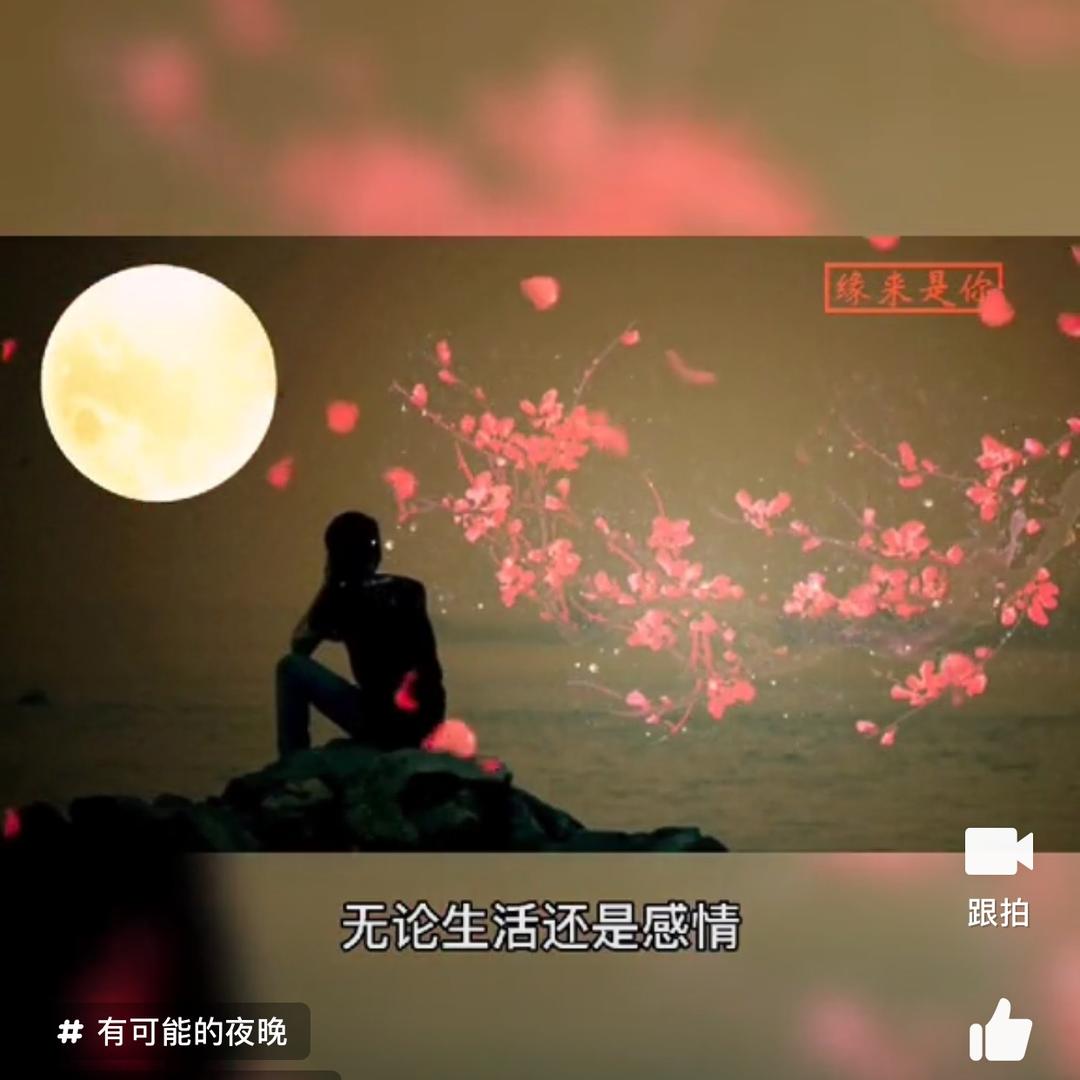 介布衣