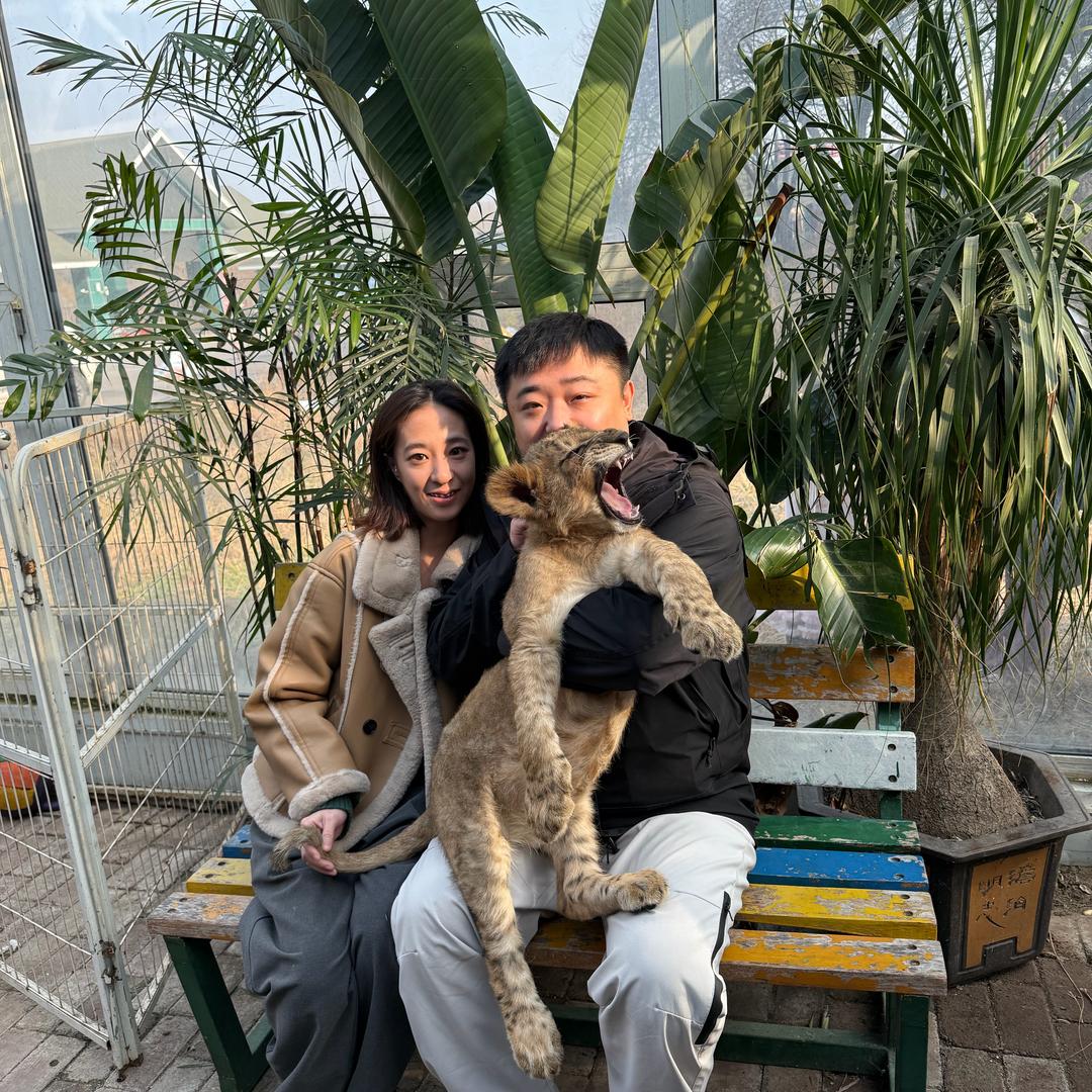 凡子专门玩比熊