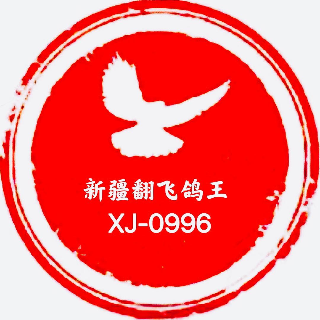 新疆翻飞鸽王0996
