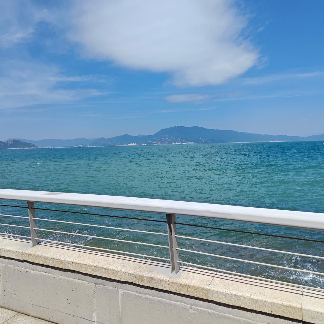 마이크로피시LING