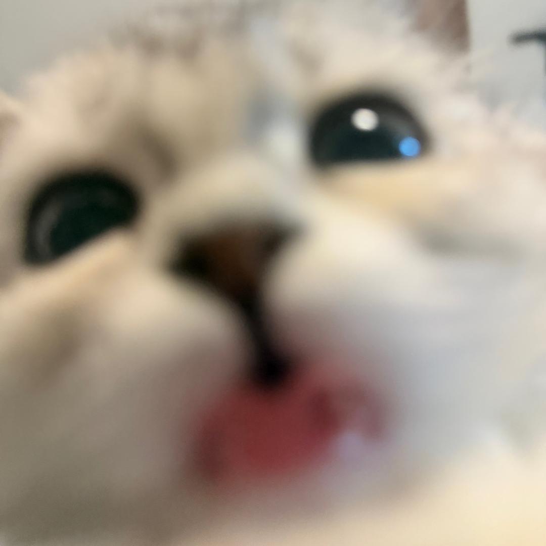 怎么又饿了