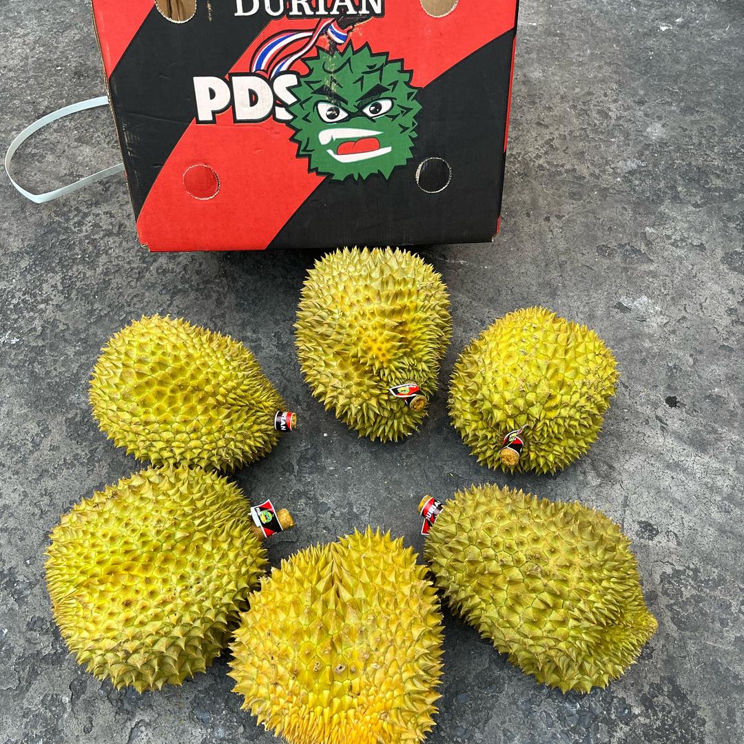 万氏达