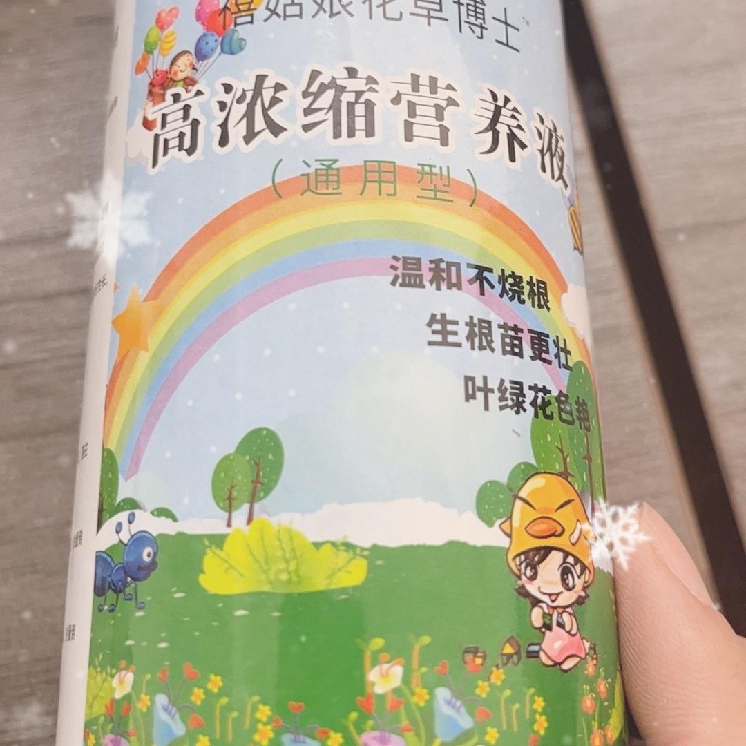 禧菇娘花草博士源头工厂