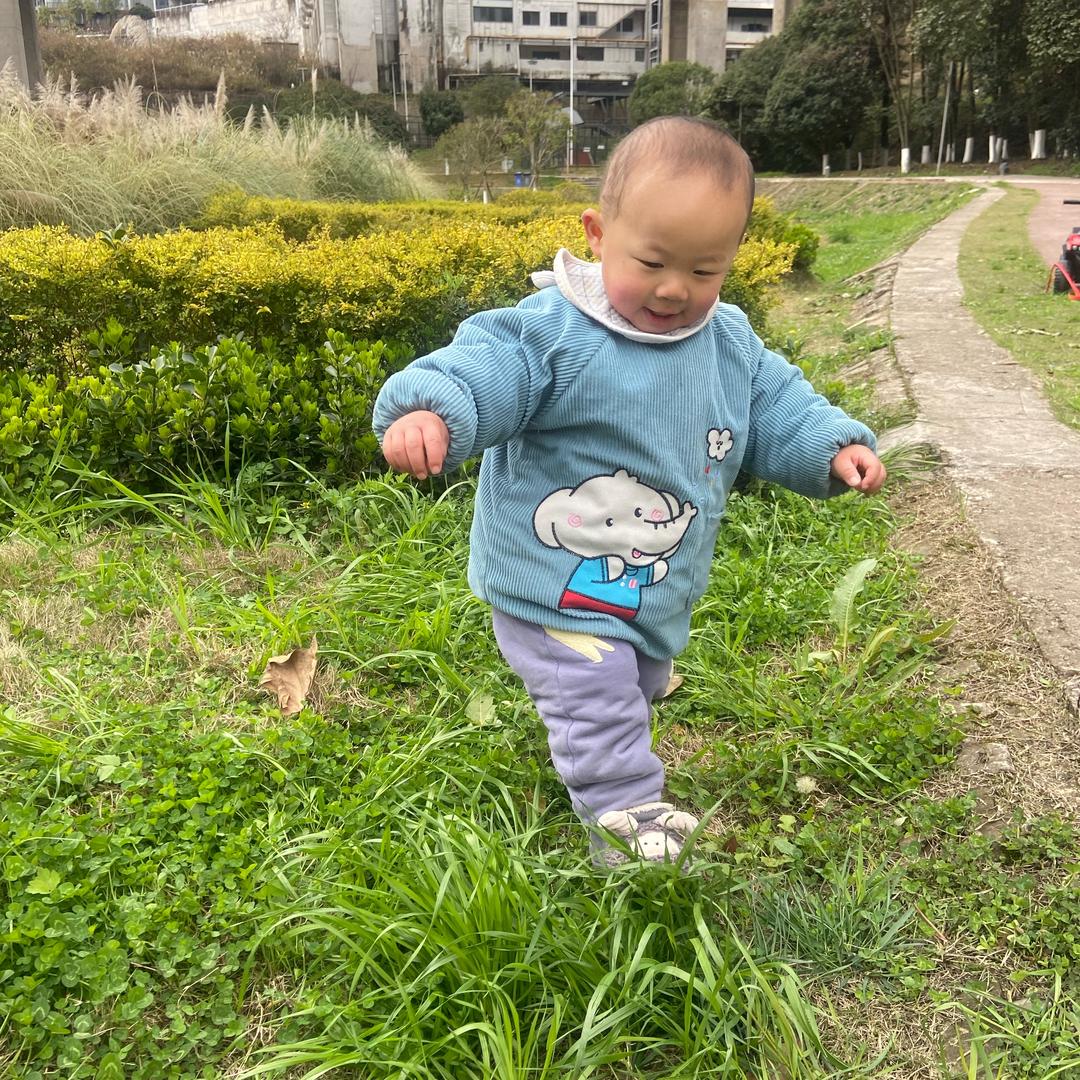 陈情与你