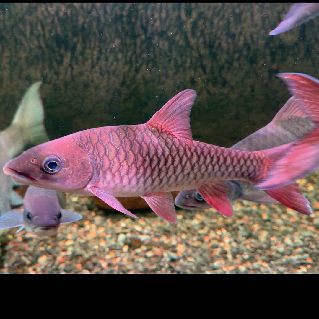 潼湖