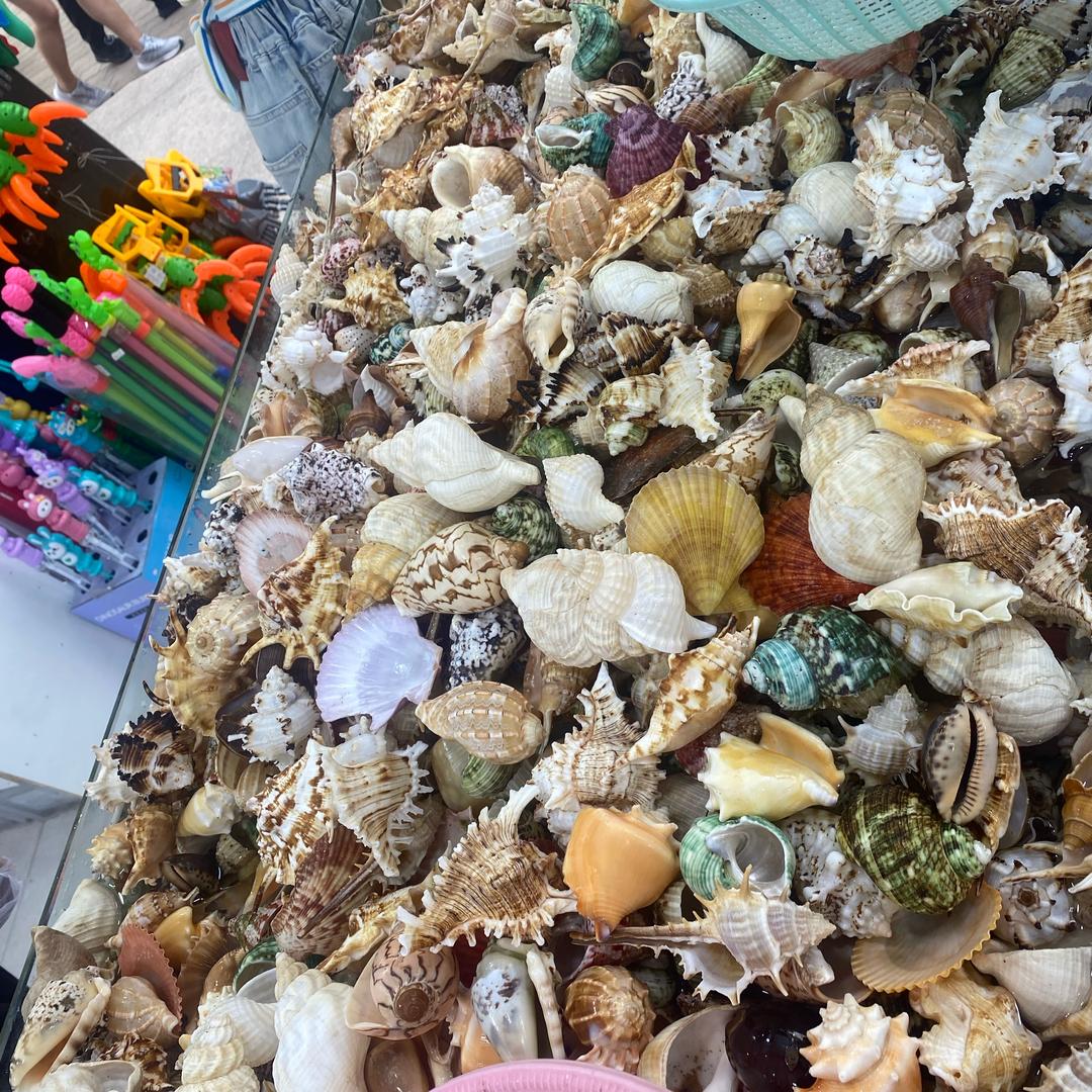 农村的宝马开始创业