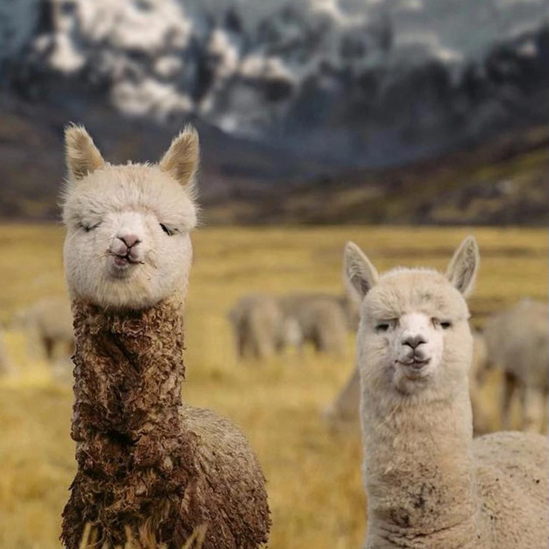 萌里乐玩具创意屋2号