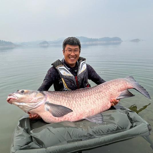 杨永财钓鱼🎣（辰羽欧式鲤钓）