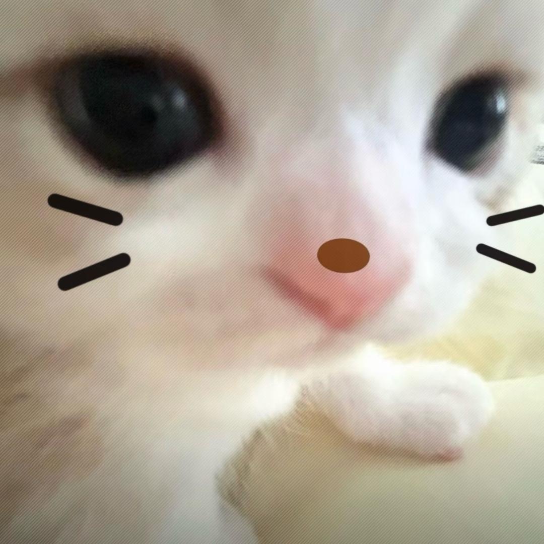 捉刀客头像