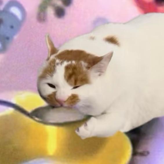 我真的没招了（给我推荐好不好