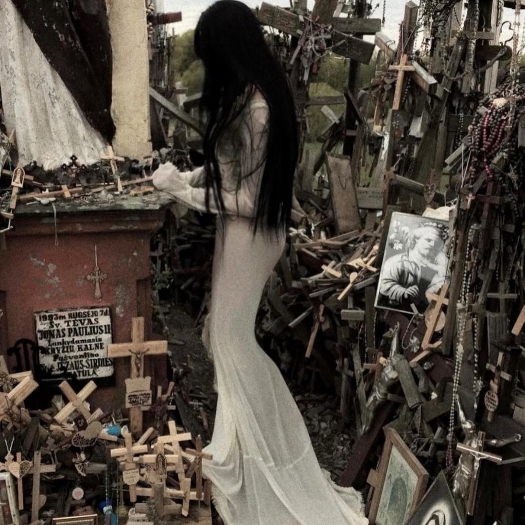 我在地球上的每一天