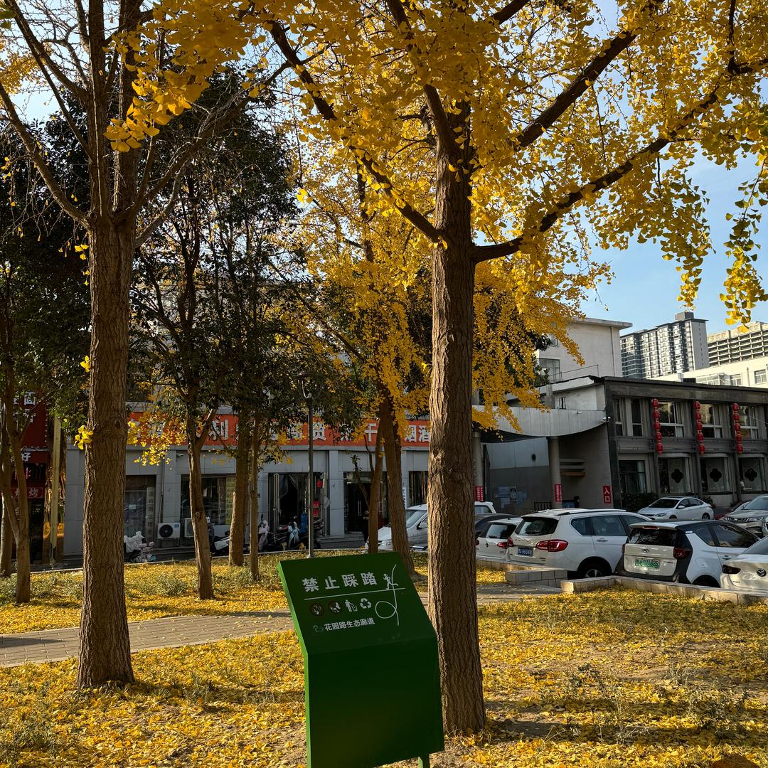河南中考升学规划韩主任