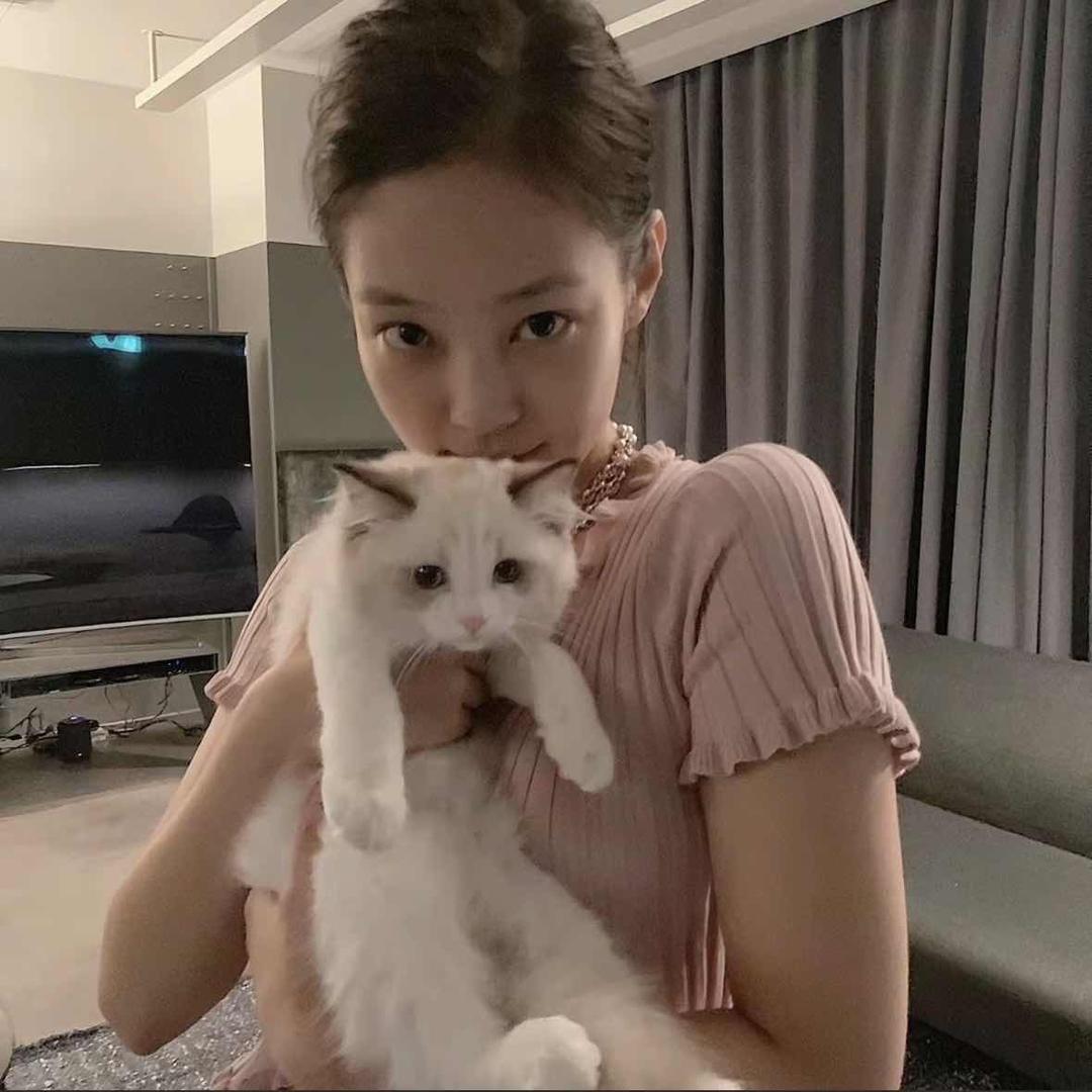 ᥫᩣ
