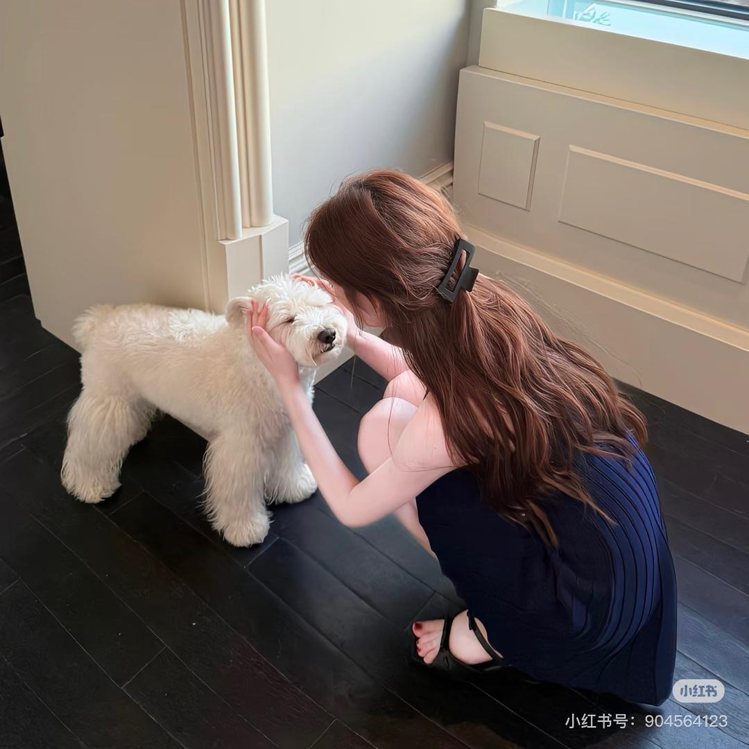 你的世界有我就够了