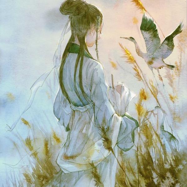 玲珑雨