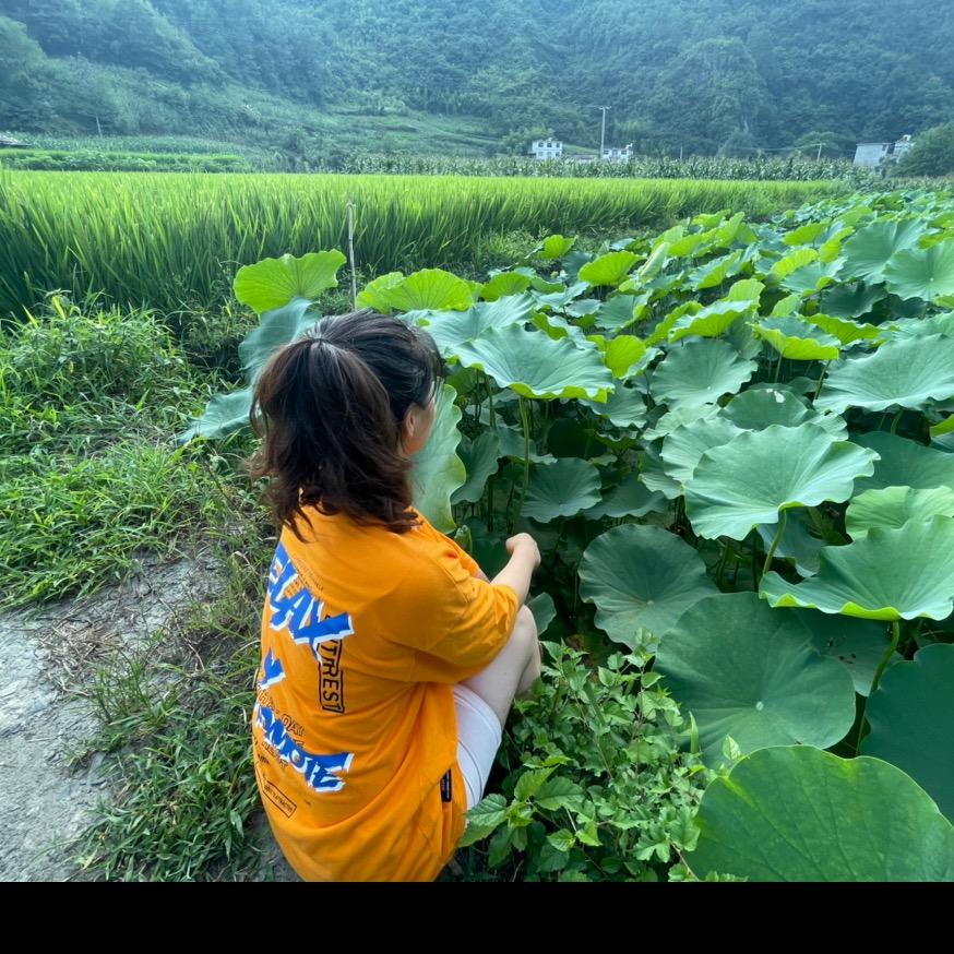 竹乡小密