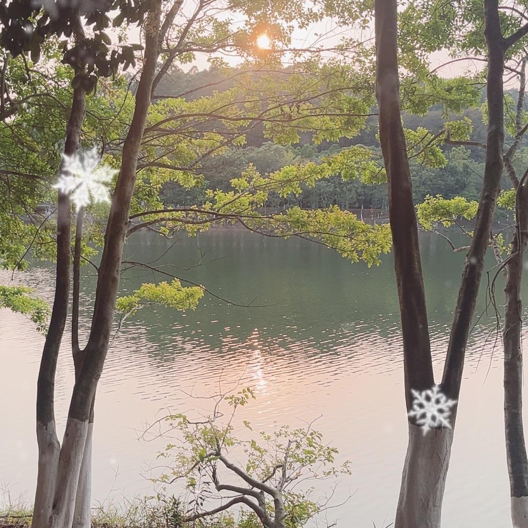 深探房王恩龙