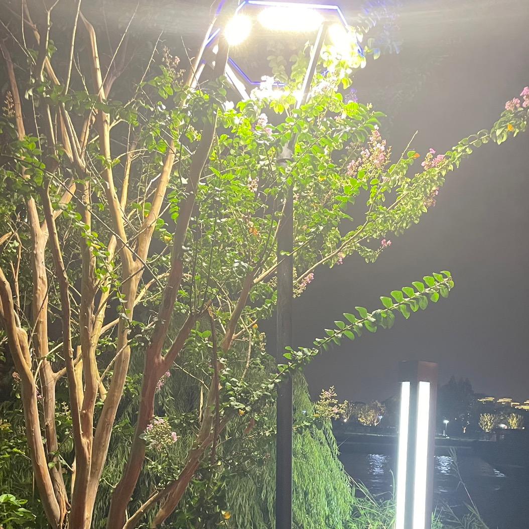 小王的日常👩🏻‍🦯