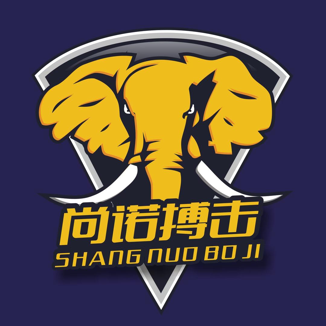尚诺搏击官方号