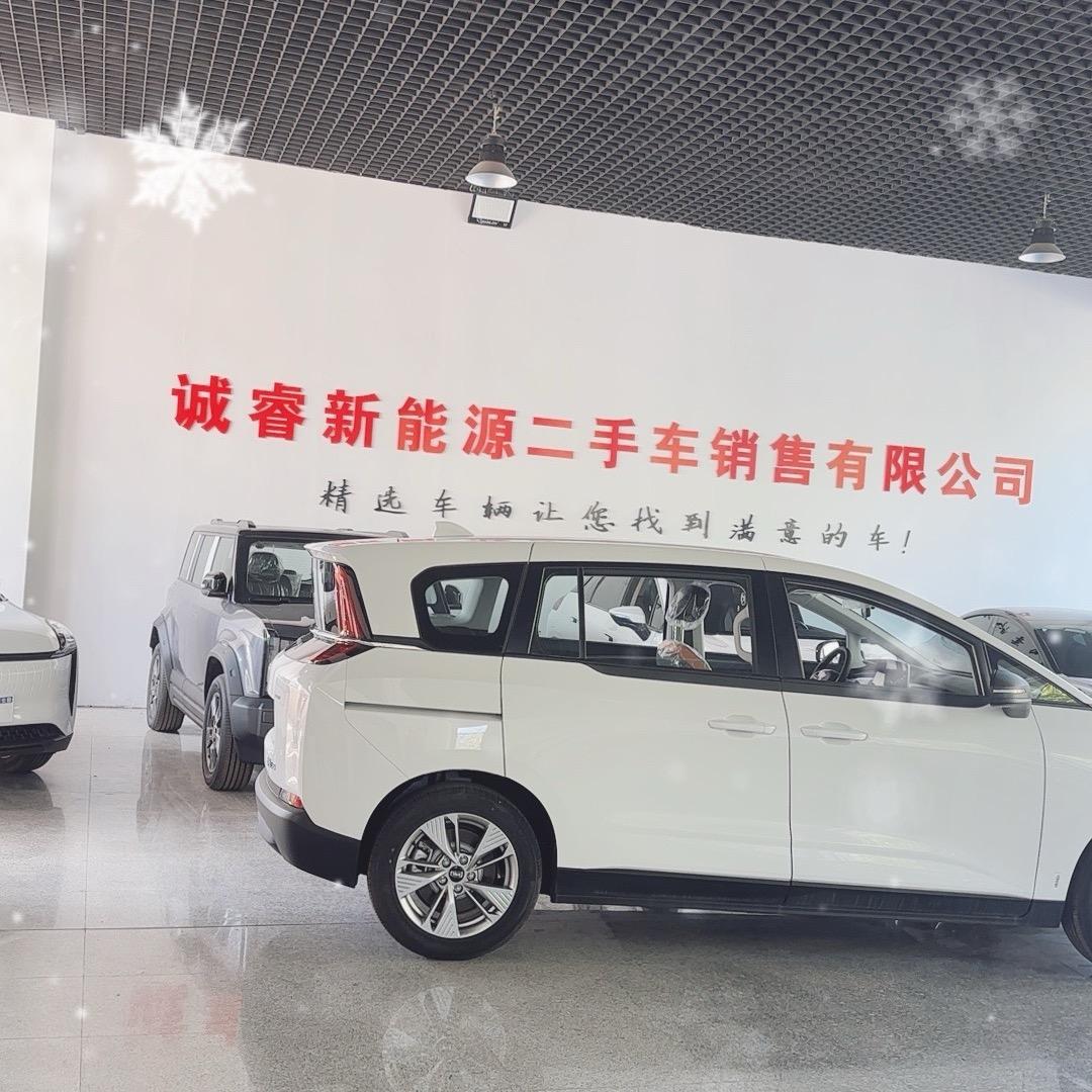 欣哥聊电车 诚睿新能源刚哥