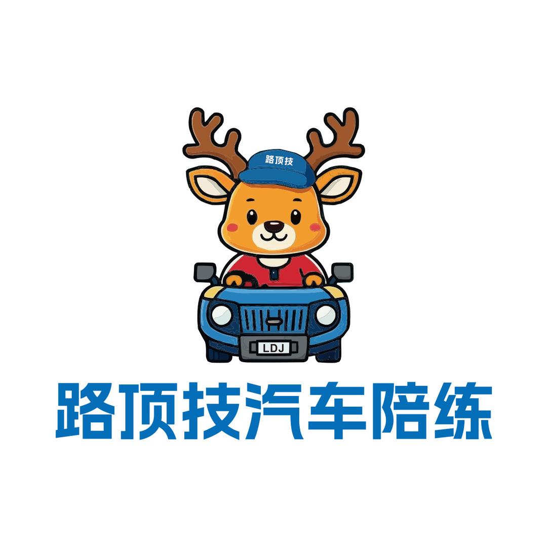 路顶技汽车陪练