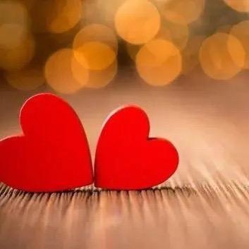 一只不吃鱼的喵