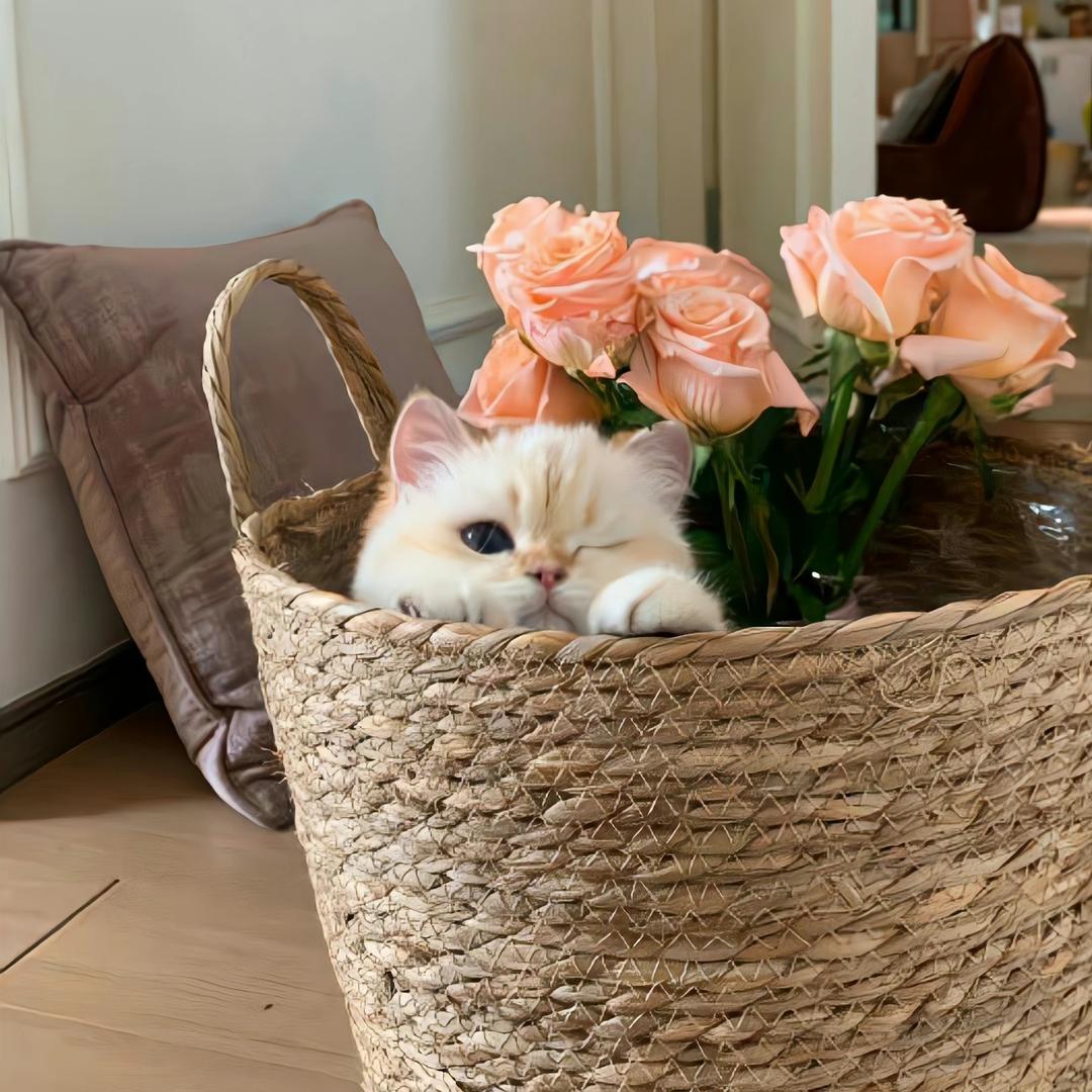 小婉儿