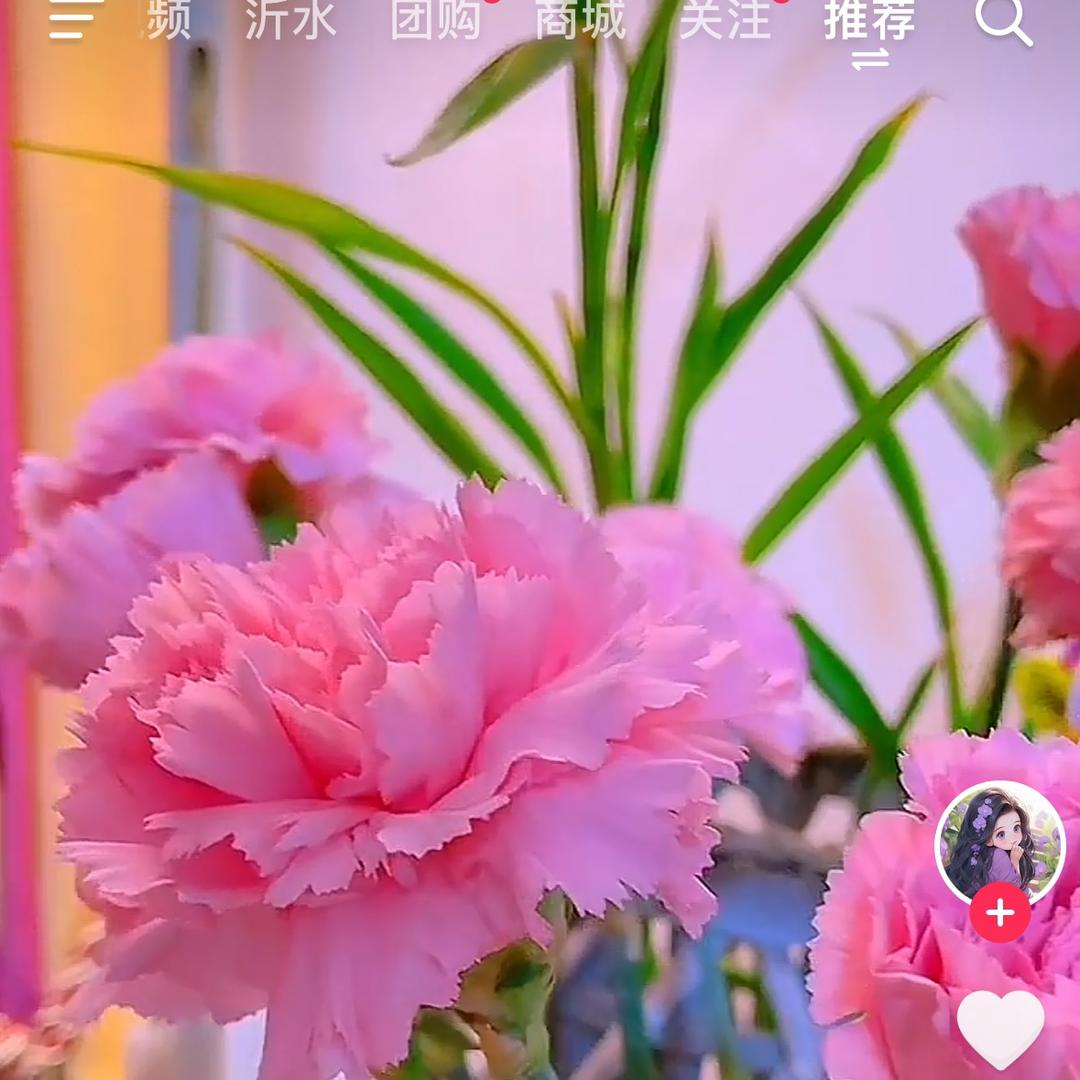 清欢一味