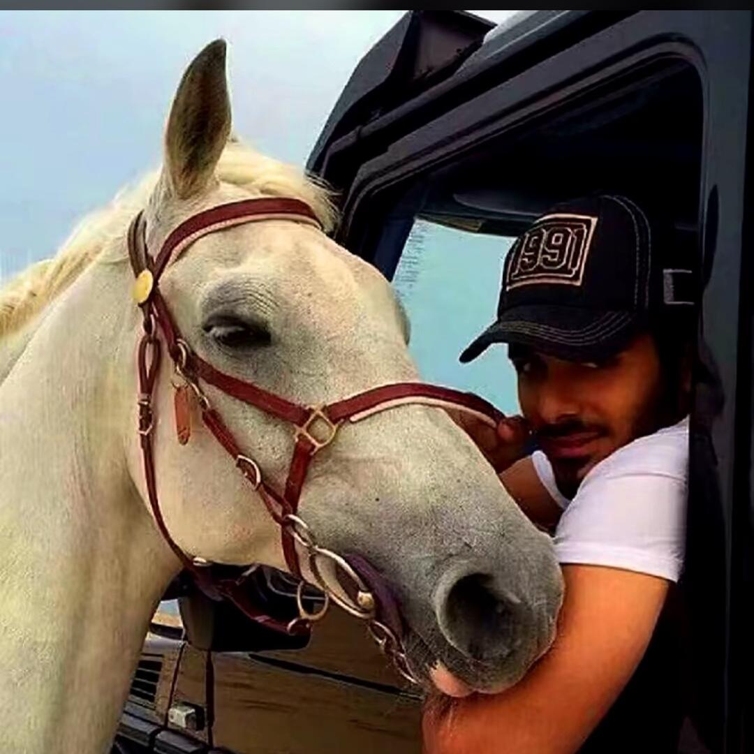 K🐎