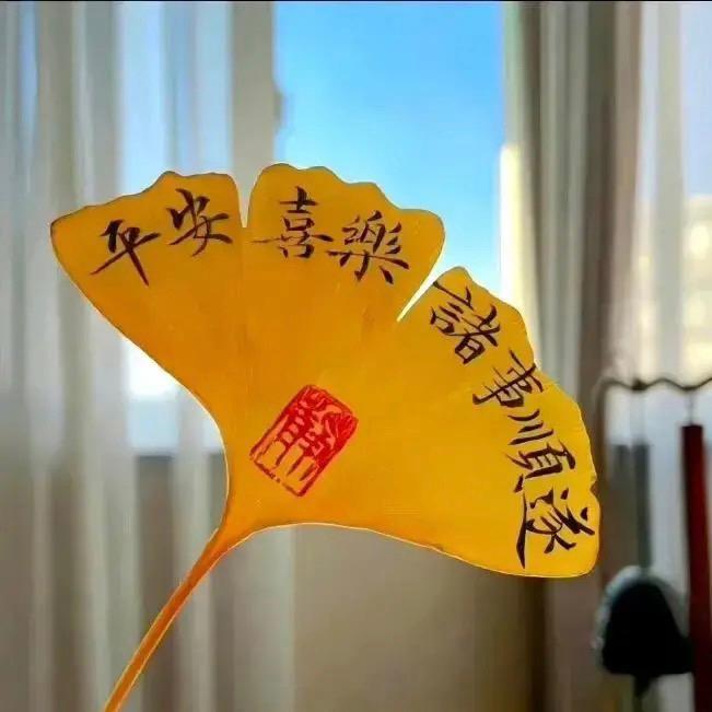 🍊 橙子
