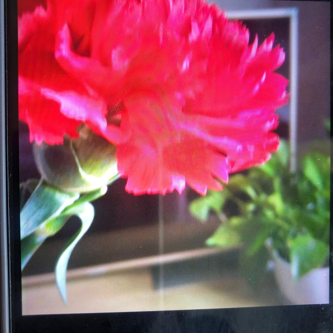 永远开心快乐。