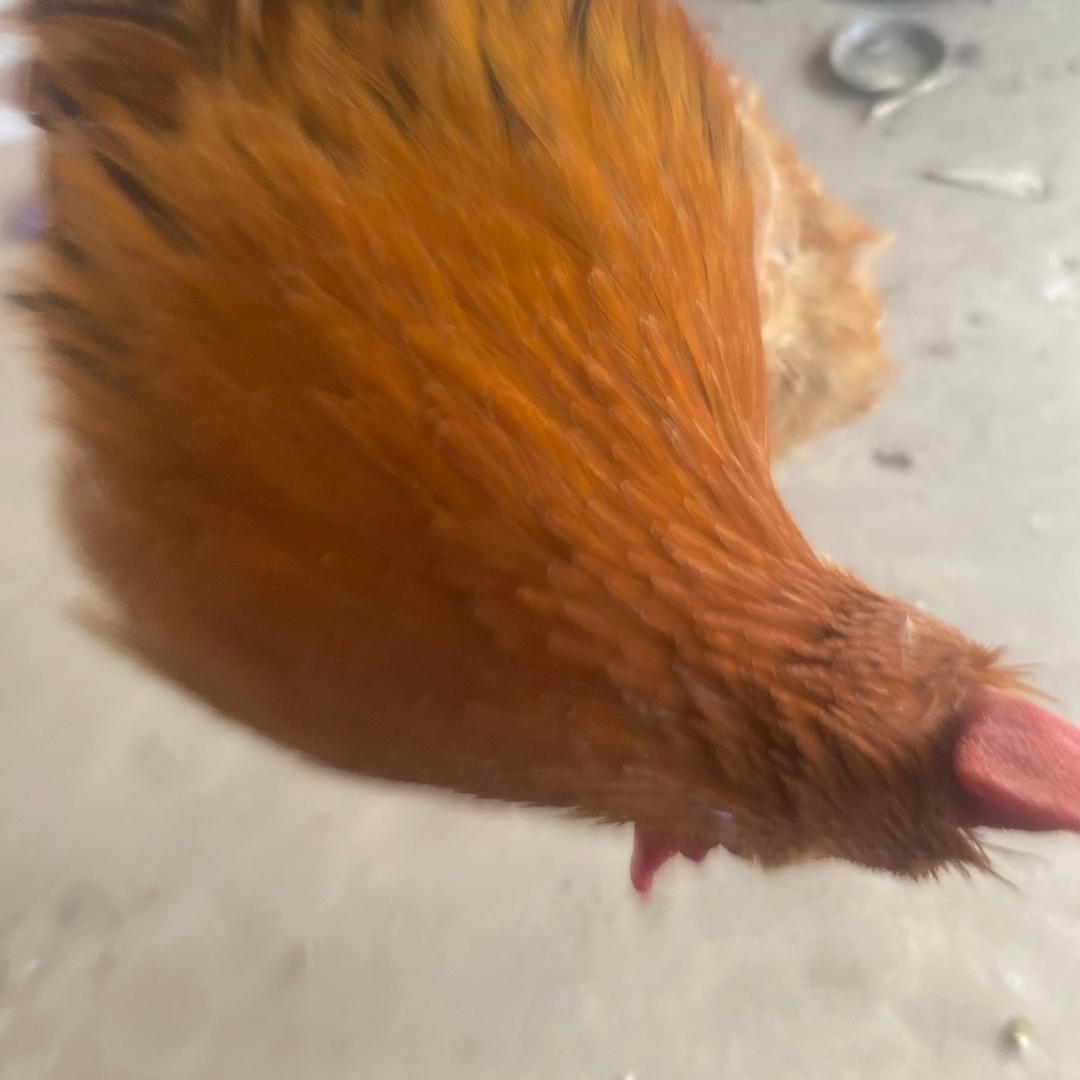 一切随缘：