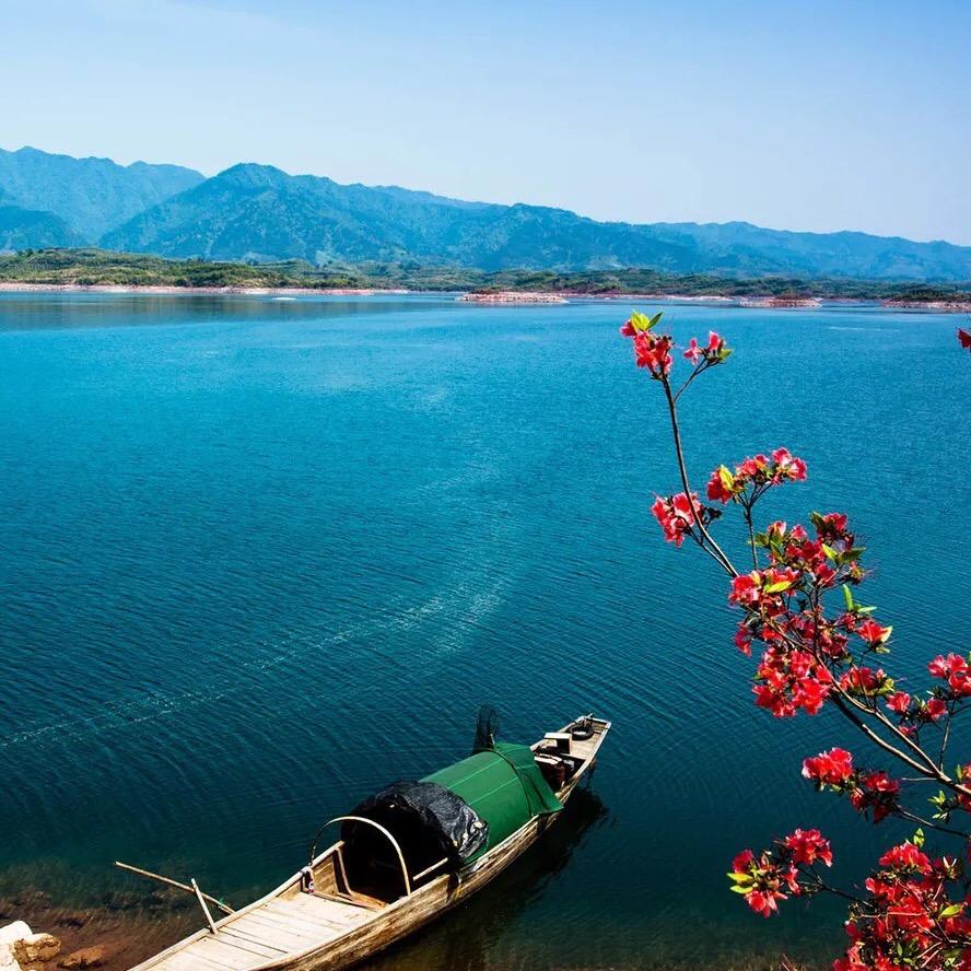 yuanyuan