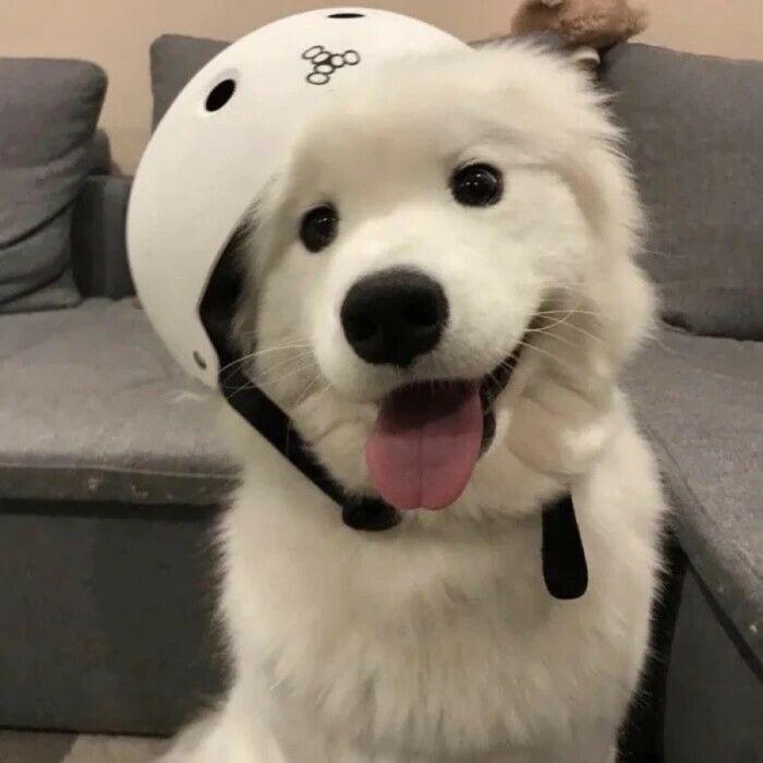 高中英语课代表