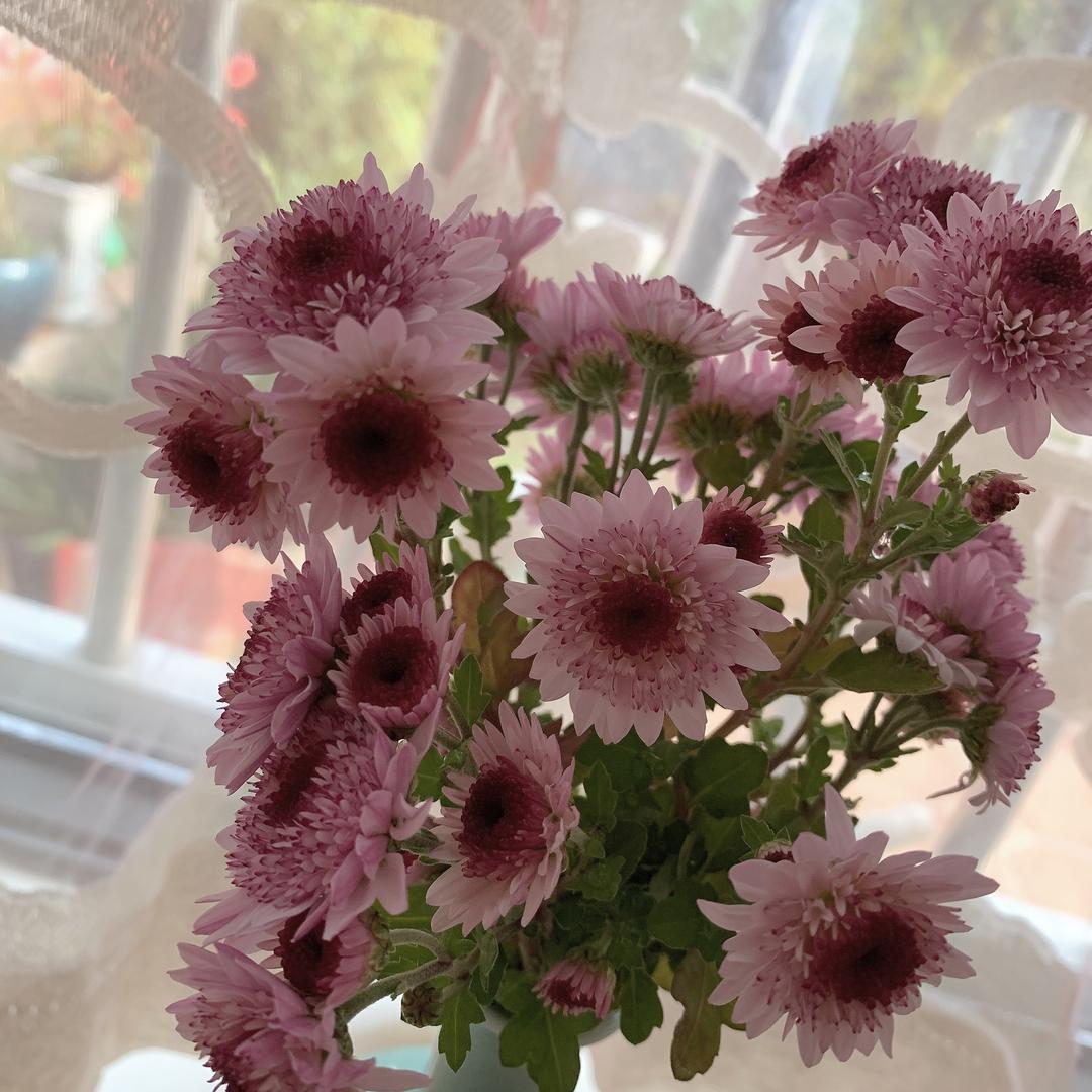 🌈*🌸惜