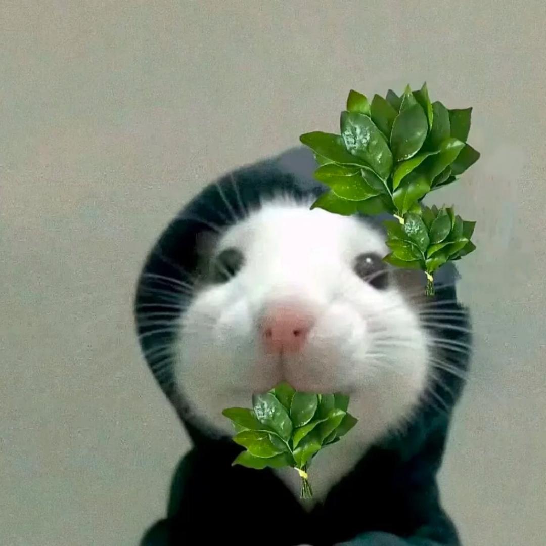 话就没少过
