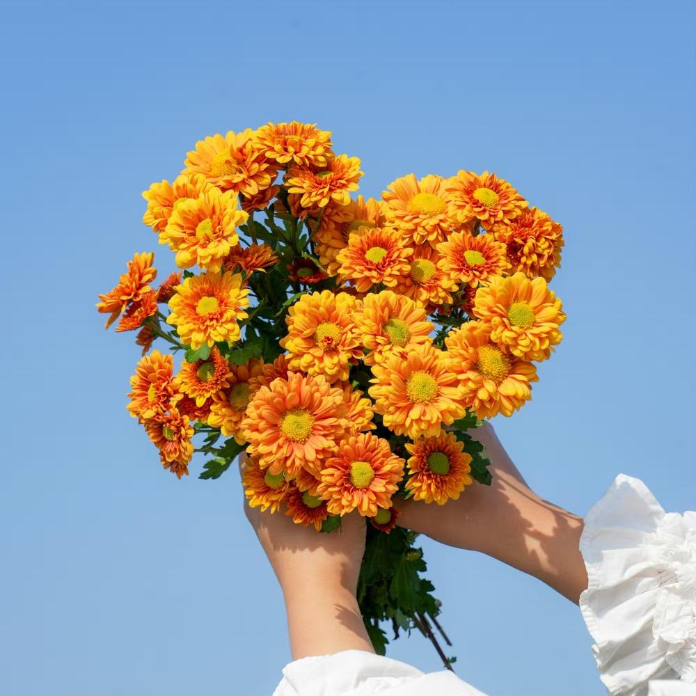 春暖花会开～