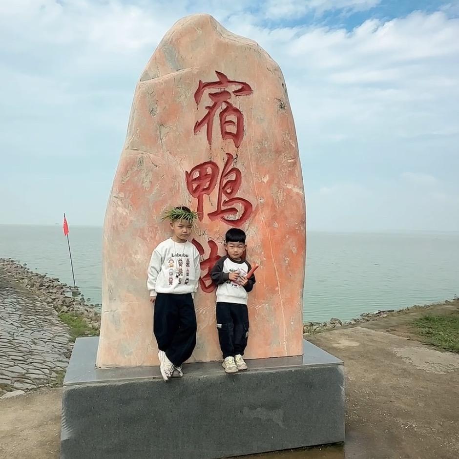 苹苹