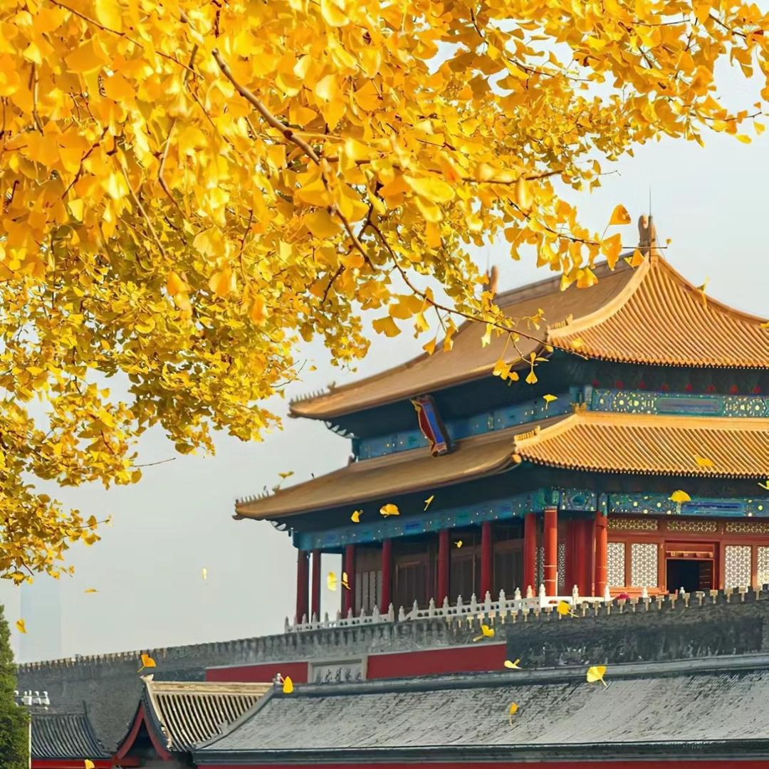 兰姐爱分享（北京亲子研学游)