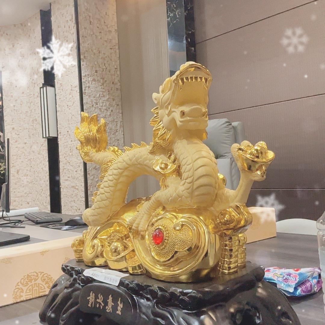 潜龙 傲宇
