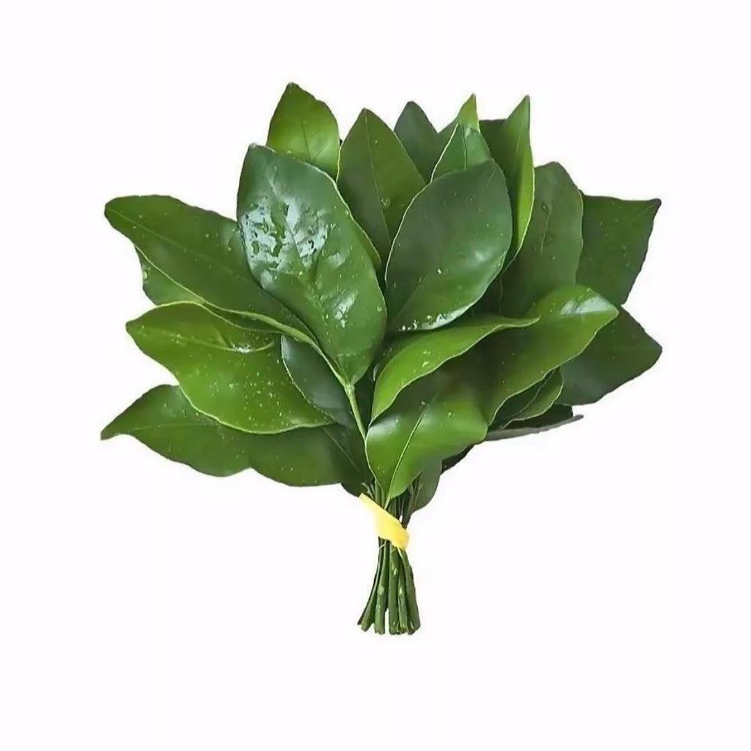 方芳.